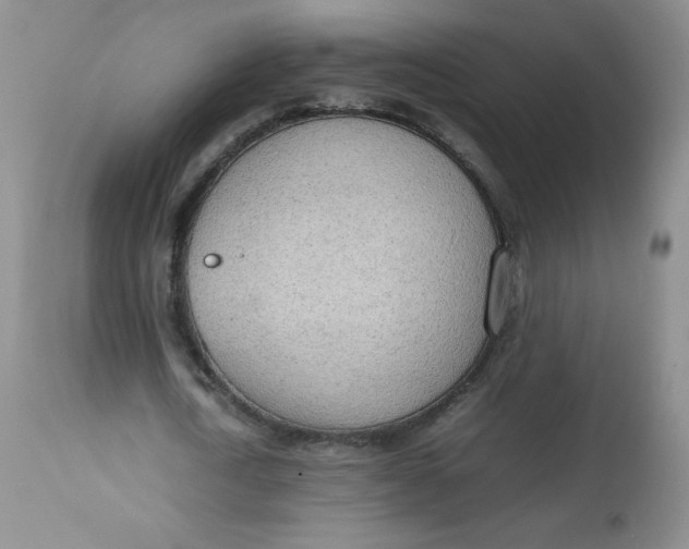 X0000112810722200909111259