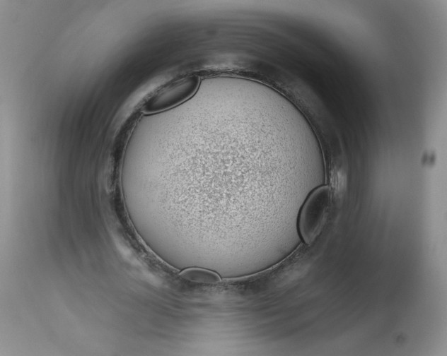 X0000112810724200909111259