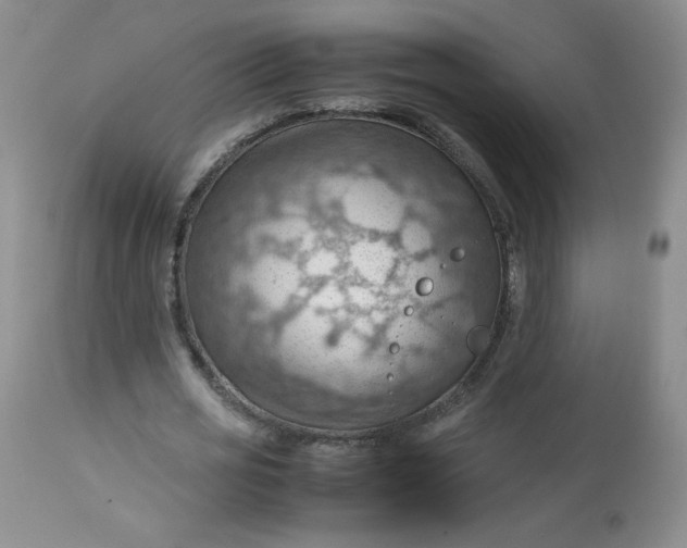 X0000112810725200909111259