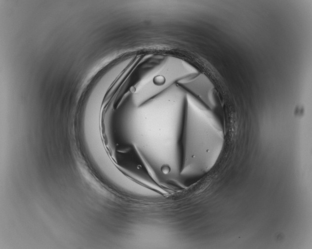 X0000112810726200909111259