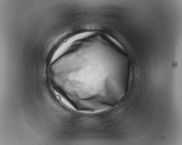 X0000112810727200909111259