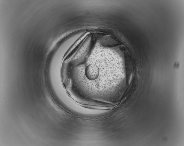 X0000112810728200909111259