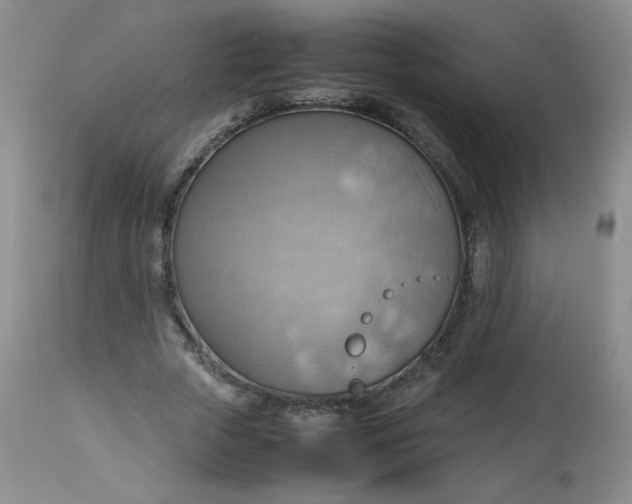 X0000112810729200909111259