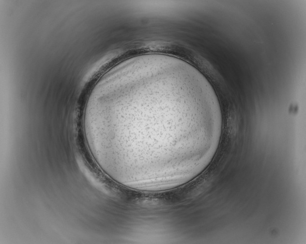 X0000112810730200909111259