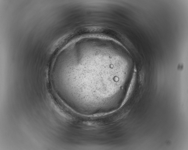 X0000112810733200909111259