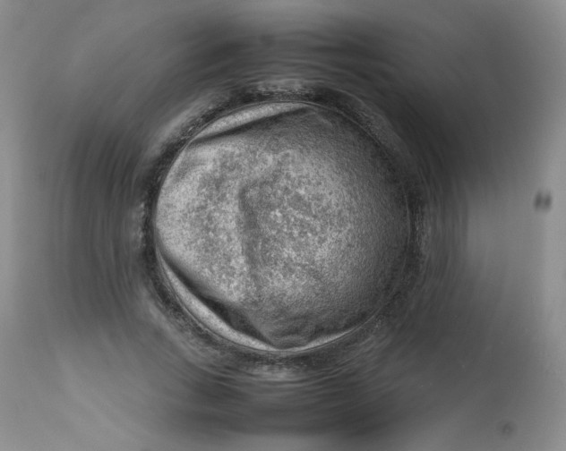 X0000112810735200909111259