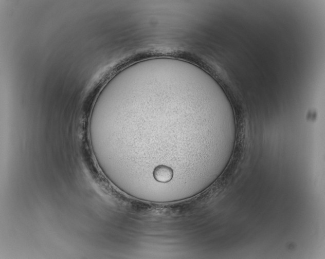 X0000112810736200909111259