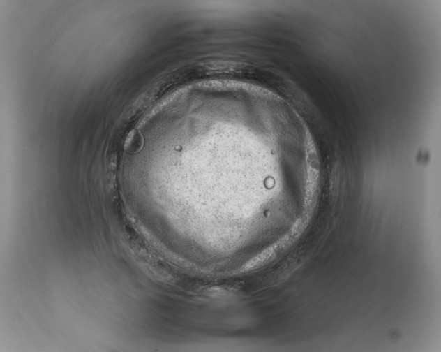 X0000112810737200909111259