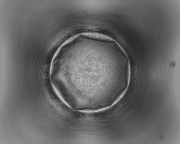 X0000112810738200909111259