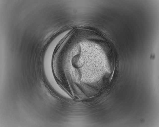 X0000112810740200909111259