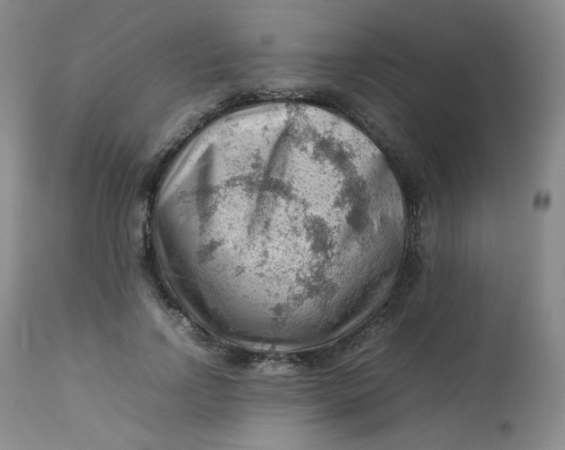 X0000112810742200909111259