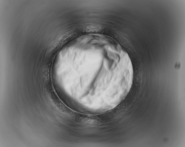 X0000112810743200909111259