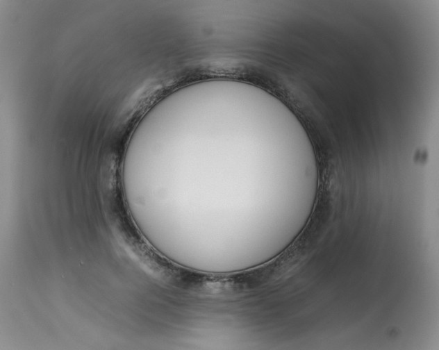 X0000112810744200909111259