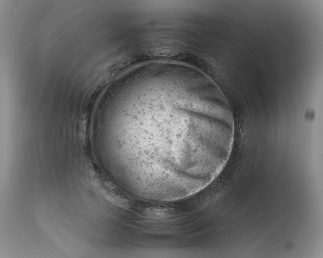 X0000112810745200909111259