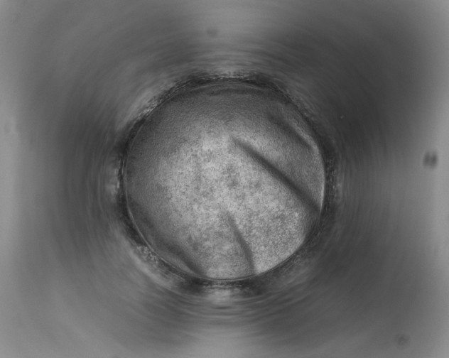 X0000112810746200909111259