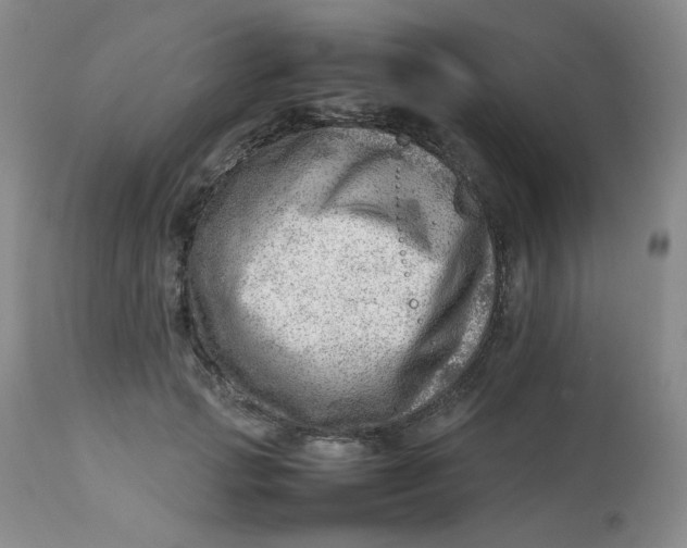 X0000112810749200909111259