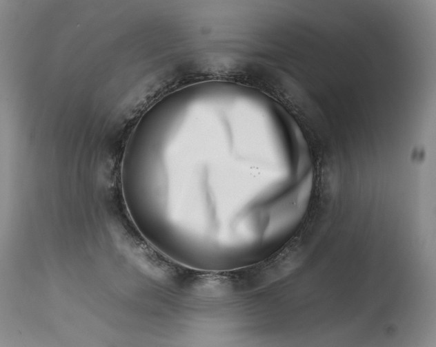 X0000112810750200909111259