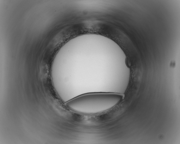 X0000112810752200909111259