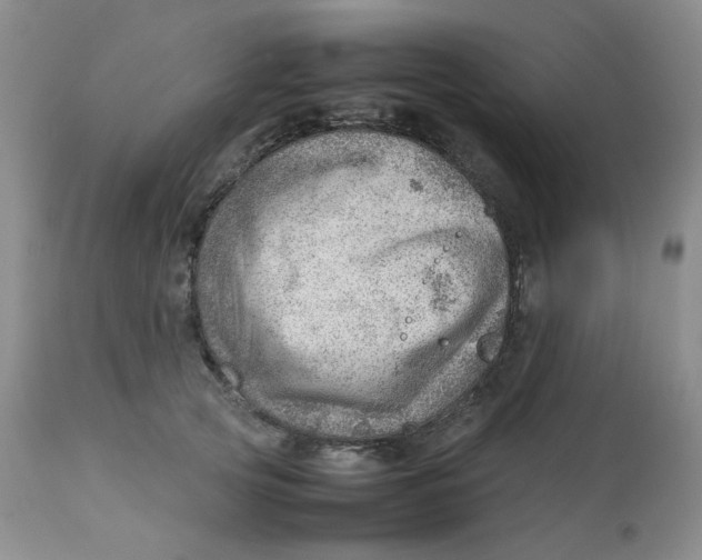 X0000112810753200909111259