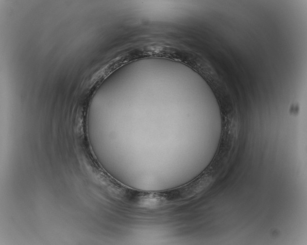 X0000112810754200909111259