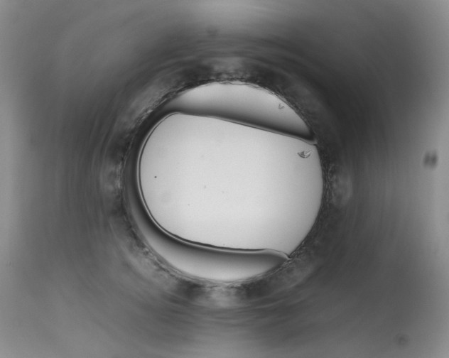 X0000112810756200909111259