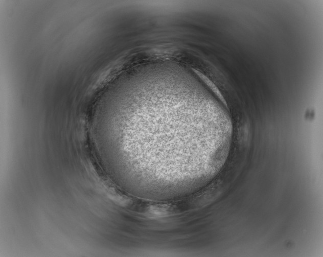 X0000112810757200909111259