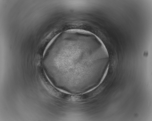 X0000112810758200909111259