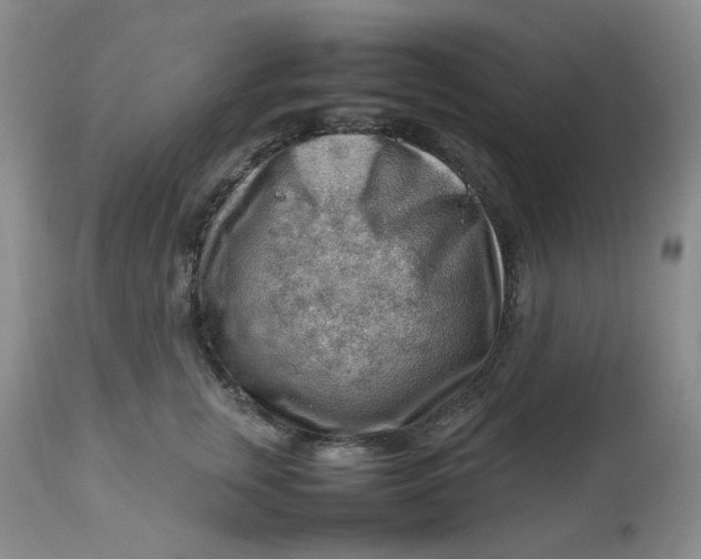 X0000112810759200909111259