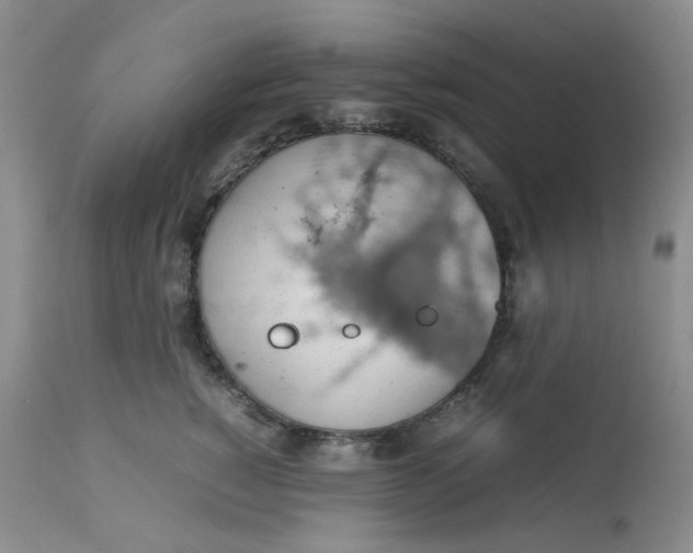 X0000112810760200909111259