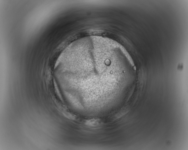 X0000112810761200909111259