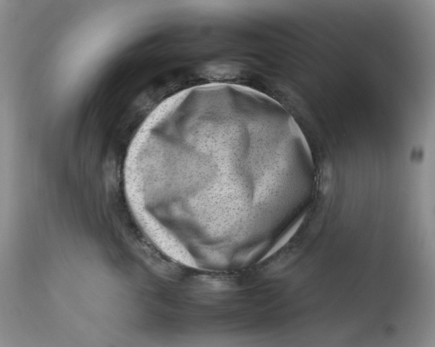 X0000112810763200909111259