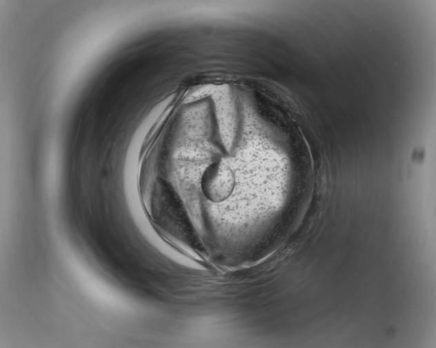 X0000112810764200909111259