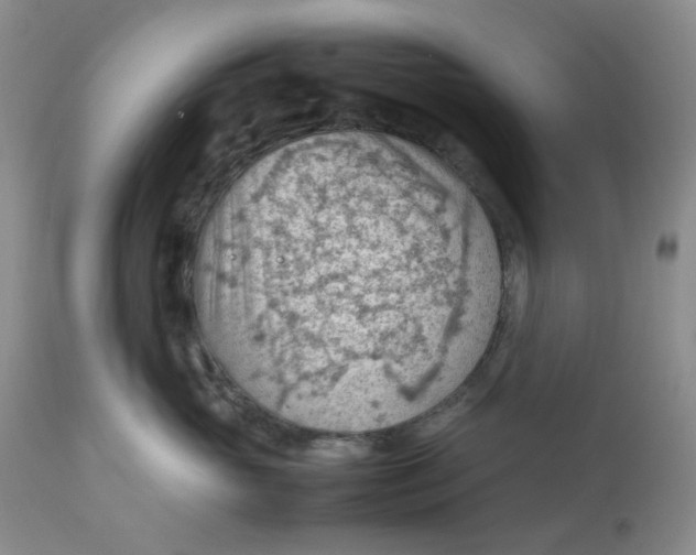 X0000112810765200909111259