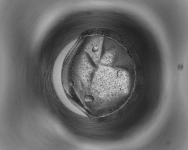 X0000112810766200909111259