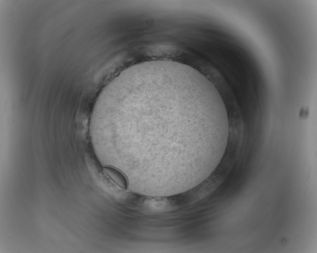 X0000112810767200909111259