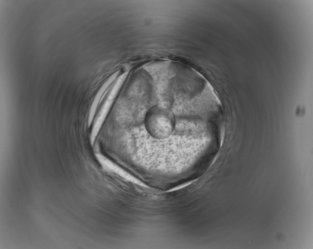 X0000112810768200909111259