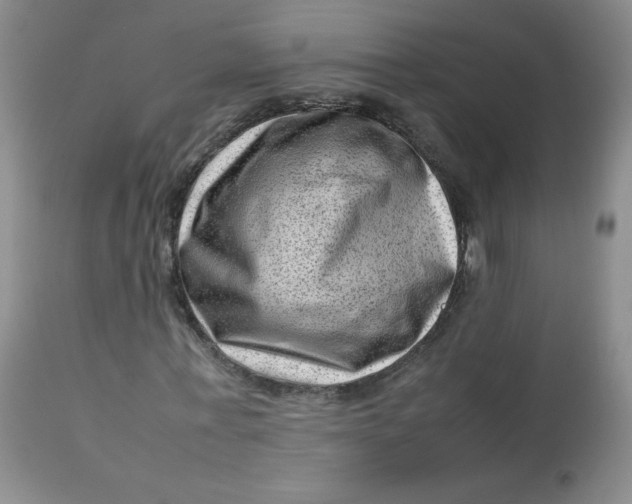 X0000112810771200909111258