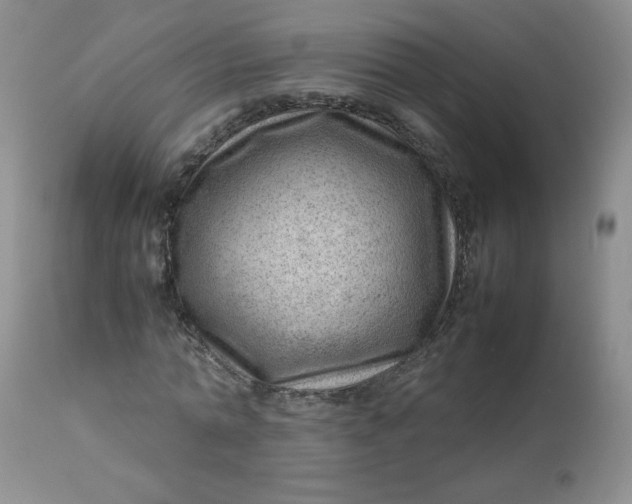 X0000112810774200909111258