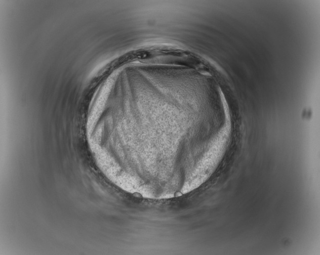 X0000112810775200909111258