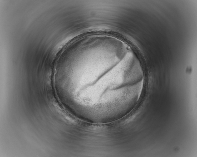 X0000112810778200909111258