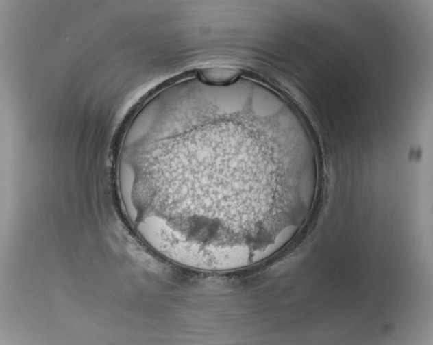 X0000112810779200909111258