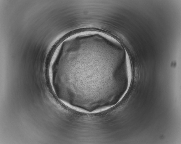 X0000112810780200909111258