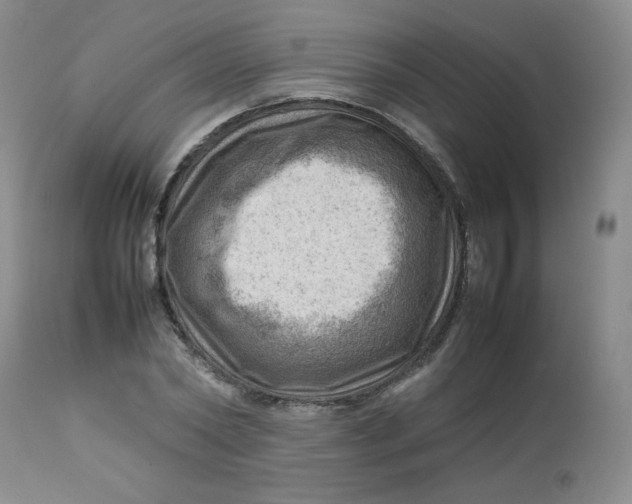 X0000112810782200909111258