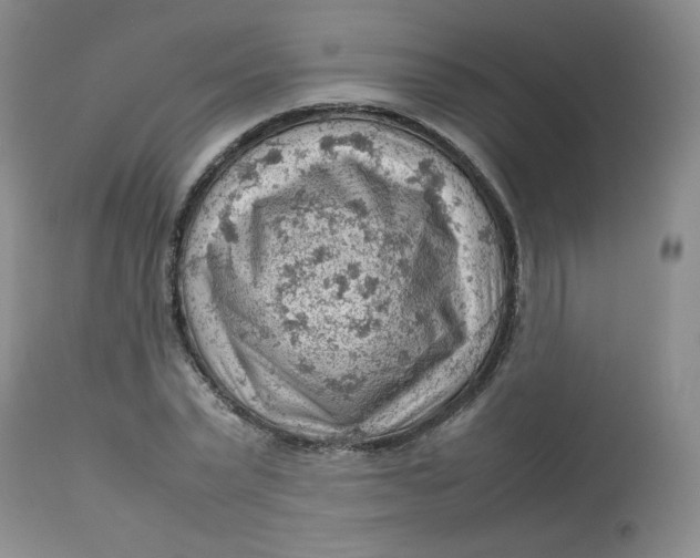 X0000112810783200909111258