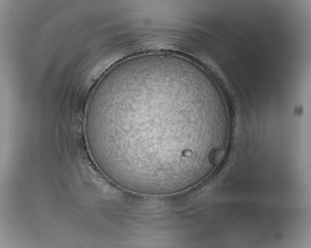 X0000112810785200909111258