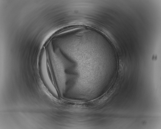 X0000112810788200909111258