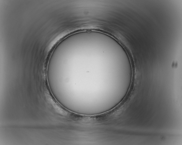 X0000112810789200909111258