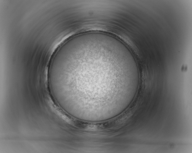 X0000112810790200909111258