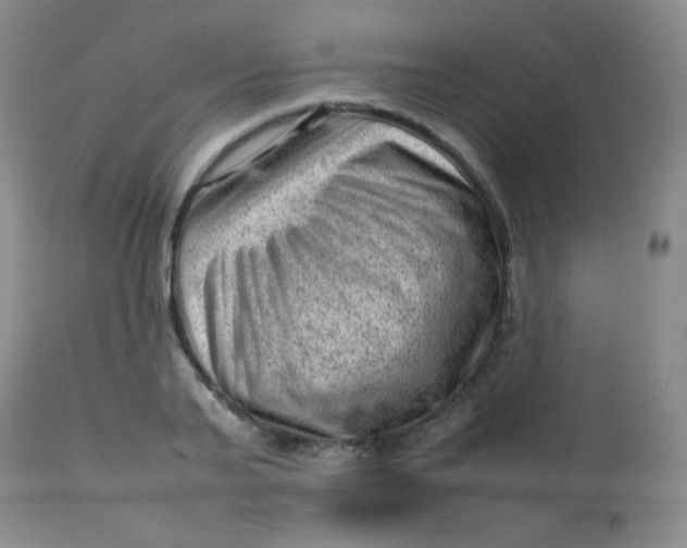 X0000112810791200909111258