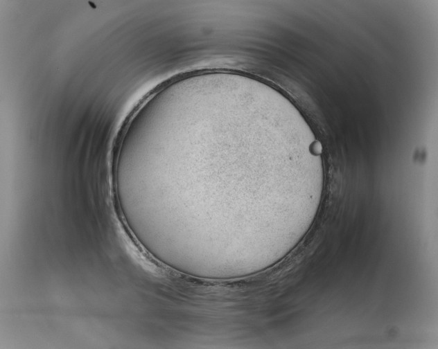 X0000112810792200909111258